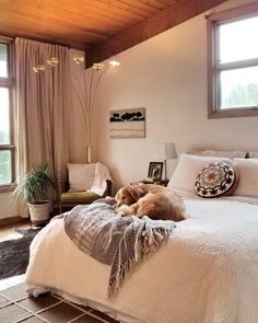 a dog laying on top of a white bed in a bedroom next to two windows