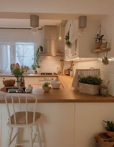 a kitchen filled with lots of counter top space and plants on the counters next to it