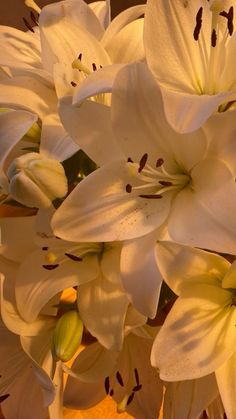 white flowers are in a vase on the table