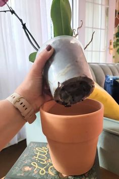 a person is holding a potted plant in their hand