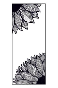 two sunflowers are shown in black and white, one is drawn on paper