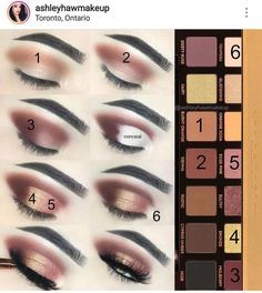 Eyeshadow Tutorial For Beginners, Trendy Eyeshadow, Make Up Inspiration, Soft Glam Makeup, Eye Makeup Steps, Makeup Step By Step, Makeup Guide, Makeup Eyes