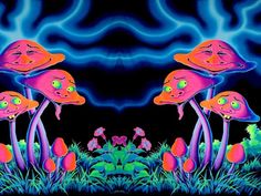 three pink mushrooms in the grass with blue and purple clouds behind them on a black background