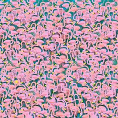 pink flamingos are standing in the grass