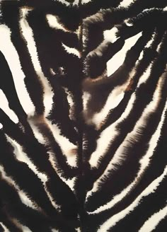 closeup of the skin of a zebra