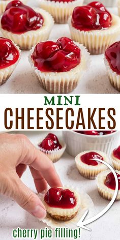 mini cheesecakes with cherry filling on top and in the background, there is a hand picking one