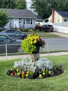 a potted plant sitting on top of a tree stump in the middle of a yard