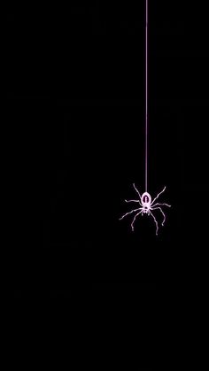 a purple spider hanging from a wire in the dark