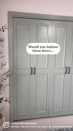 a white closet with two doors and a thought bubble above it that says would you believe these doors?