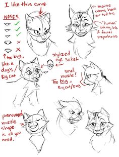 how to draw cats with different facial expressions and head shapes, from the side view