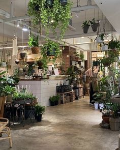 a room filled with lots of potted plants