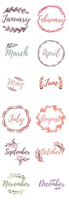 some type of labels that are in different colors and font styles, with the words months on