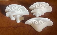 three white scallop shells sitting on top of a wooden table next to each other