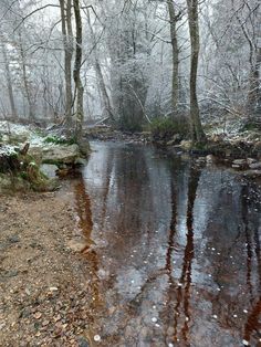 a small stream running through a forest filled with trees covered in snow and ice on the ground