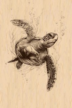 a drawing of a sea turtle swimming in the ocean