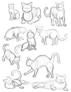 several different types of cats are shown in this drawing lesson for children to learn how to draw