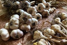 garlic bulbs are on the table ready to be sold