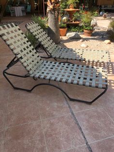 two lawn chairs sitting on top of a tile floor next to a tree and potted plants