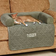 a cat laying on top of a couch with the word tiger in it's center