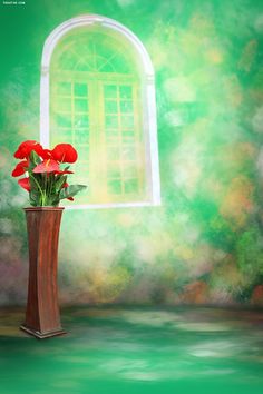 a vase with red flowers sitting in front of a green wall and an open window