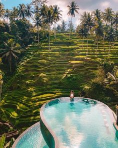 There really is nothing quite as breathtaking as that first glimpse of a glittering infinity pool in Bali. That double-take moment where you have to squint and check that the sky hasn’t actually melted into a horizon of aquamarine ripples. Infinity Pool Bali, Cretya Ubud, Kuala Lampur, Bali Bucket List, Infinity Pools, Bali Holidays