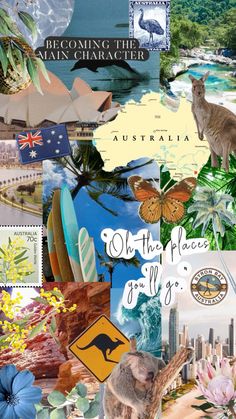 australia collage with images of animals, flowers, and other things to see on this postcard