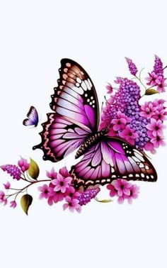 Animal Tattoo Ideas, Butterfly Wallpaper Backgrounds, Butterfly Background, Butterflies And Flowers, Butterfly Drawing