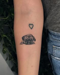 a small pug dog with a heart tattoo on its arm