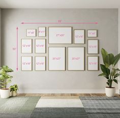 a living room with white walls and green plants on the floor in front of it