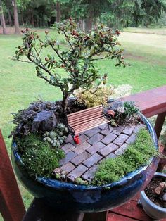 a bonsai tree in a blue pot on a wooden bench with grass and rocks