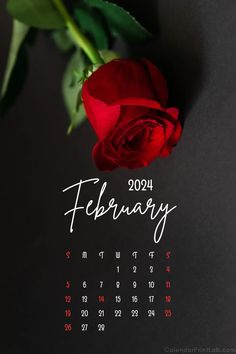 iPhone February 2024 Rose Calendar Wallpaper February Aesthetic Month 2024, February Lockscreen Aesthetic, February Phone Wallpaper Aesthetic, 2024 Wallpaper Iphone, February 2024 Calendar Wallpaper, February Wallpaper Iphone