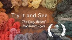 there are many skeins of yarn on the tree stump that says try it and see