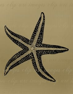 a black and white drawing of a starfish on a tan background with words written below it