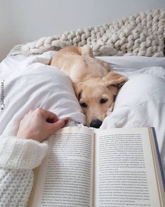 a dog laying on top of a bed next to a person holding an open book