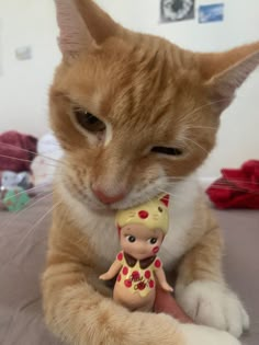 an orange and white cat is holding a small doll