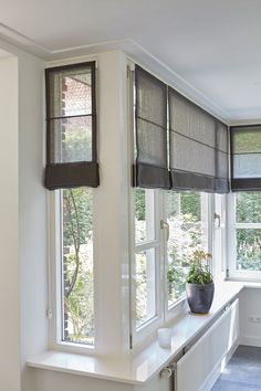 the window sill has two windows with blinds on them and a potted plant next to it