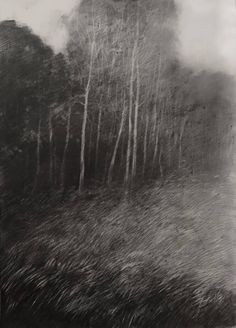 black and white photograph of trees in the fog