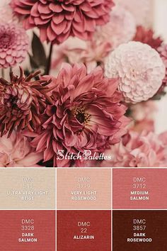 a bunch of flowers that are in some color swatches with the names on them