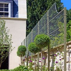 an outdoor garden area with flowers and plants growing on the side of the fenced off building