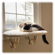 a black and white cat laying on top of a scratching post next to a window