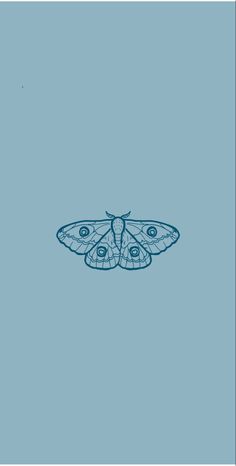 a drawing of a moth on a blue background