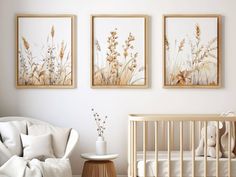 a baby's room with three framed pictures on the wall