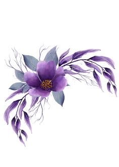 a purple flower with green leaves on a white background