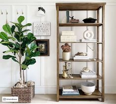 a potted plant sitting on top of a wooden shelf next to a white wall