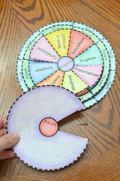 Mitosis and Meiosis Foldable Cell Cycle Project, Mitosis Model Project, Mitosis Project, Mitosis Activity, Mitosis And Meiosis, Biology Activity, Biology Projects, Biology Classroom, Cell Cycle