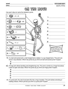 worksheet on the move with skeleton