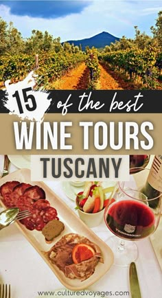 best wine tours in tuscany pinterest pin cover, A vineyard with a view of the volcano at the back and a table with red wine glasses and charcuterie plate Tenuta Torciano Winery, Italy Wine Tour, Tuscany Wine Tasting, Wine Tasting In Tuscany, Tuscany Wine Tour, Tuscany Food, Tuscany Vineyard, Chianti Italy, Momma Mia