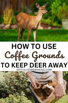 Coffee Grounds Uses, Deer Resistant Garden Plans, Deer Repellant Plants, Deer Resistant Landscaping, Deer Deterent, Deer Proof Plants, Deer Resistant Garden, Deer Repellant, Deer Proof