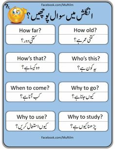 two different types of english and arabic words, with the same one in each language