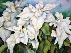 White Poinsettia by Joanne Porter is produced with printing that covers the entirety of the canvas for a sleek and stylish museum-quality look. Our framed prints are made by expert craftsmen who strive to make each canvas the masterpiece that your home deserves. Each of our framed canvas art prints is hand-crafted and made-to-order to give it a high quality and professional appearance. To ensure the clearest, most accurate depiction of the artists' original vision, we print each work of art on b White Poinsettia Painting, Painting Poinsettias, Poinsettia Painting, Poinsettia Art, Watercolor Poinsettia, Christmas Roses, White Poinsettia, Poinsettia Flower